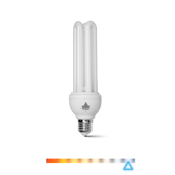 Lâmpada Econômica Fluorescente 21W 220V - Ecolume