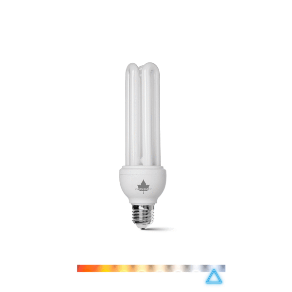 Lâmpada Econômica Fluorescente 15W 220V - Ecolume