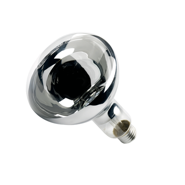 Lâmpada de Secagem Infravermelho 250W 127V - Ourolux